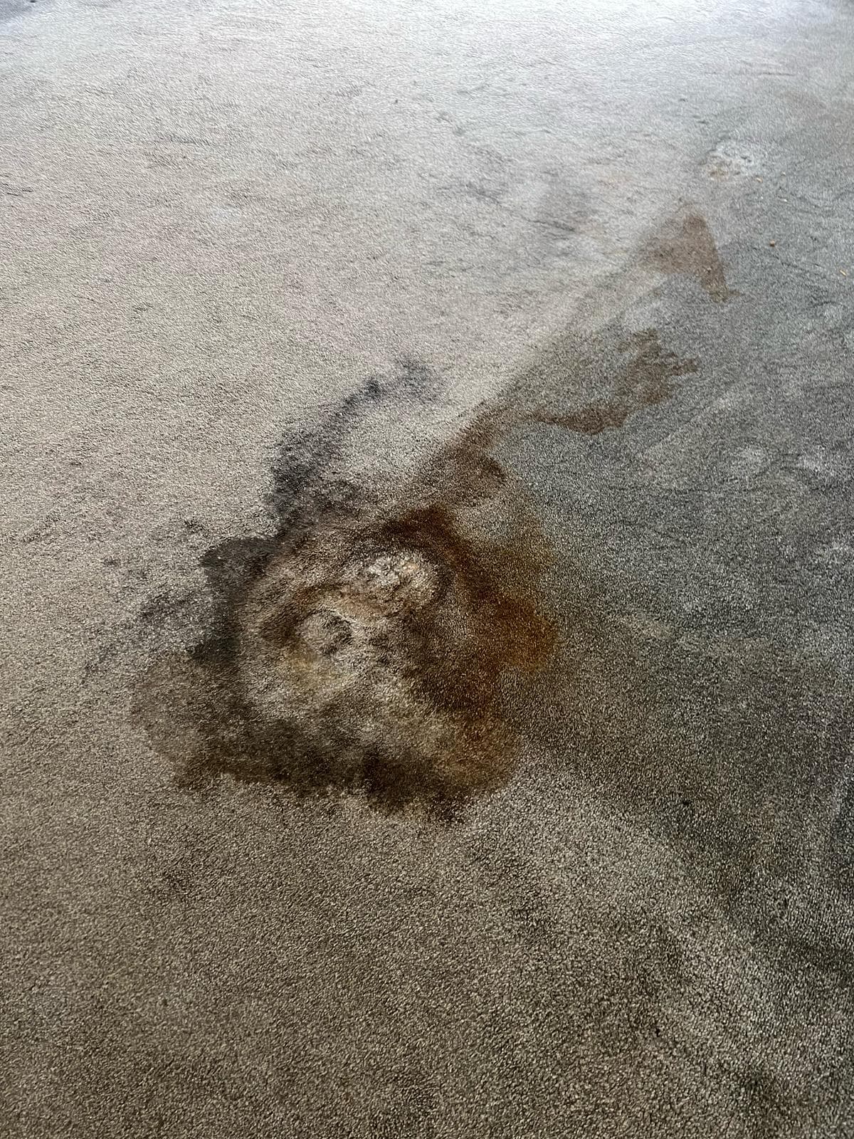 Deep carpet clean