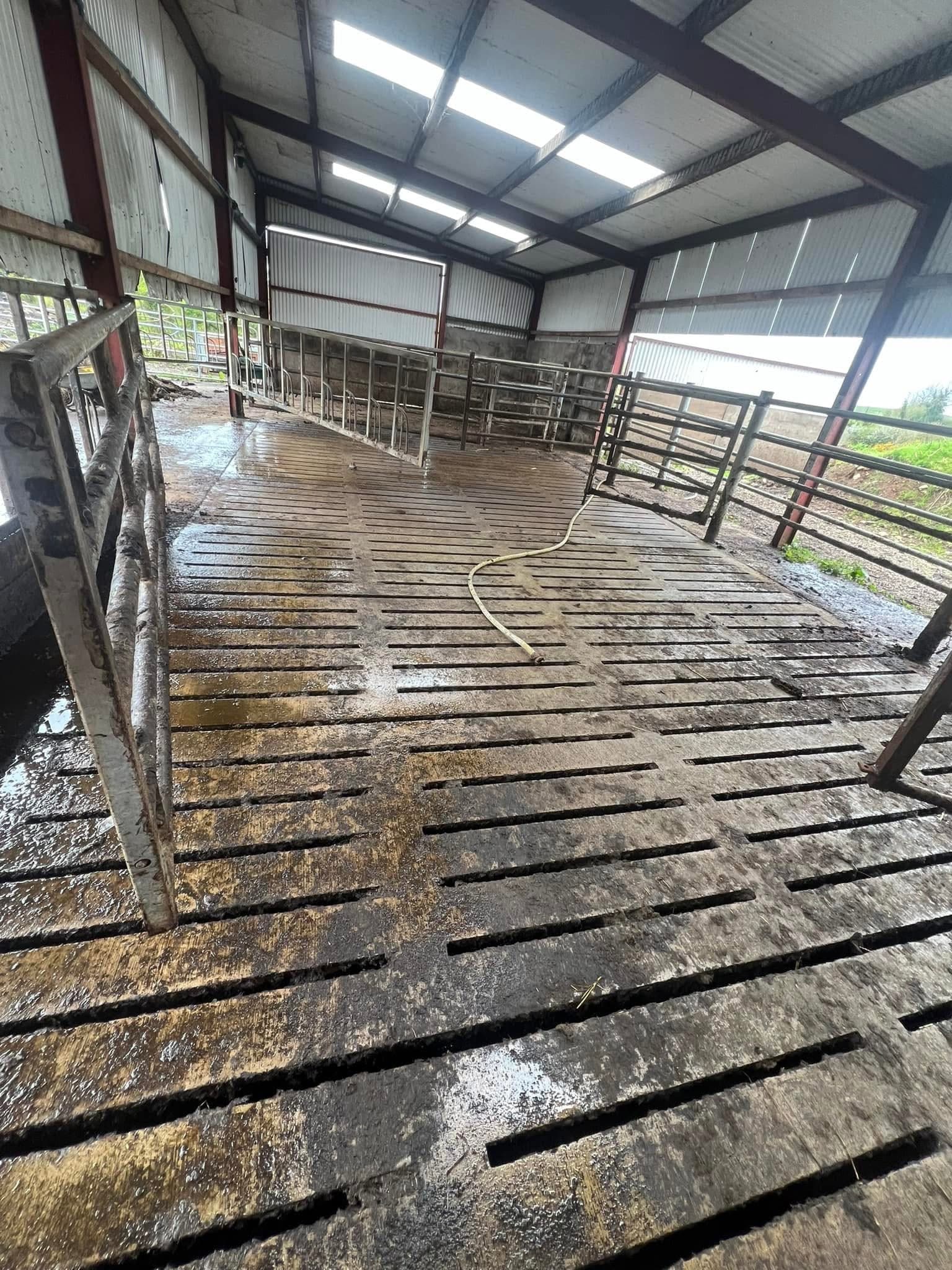 Professional pressure washing