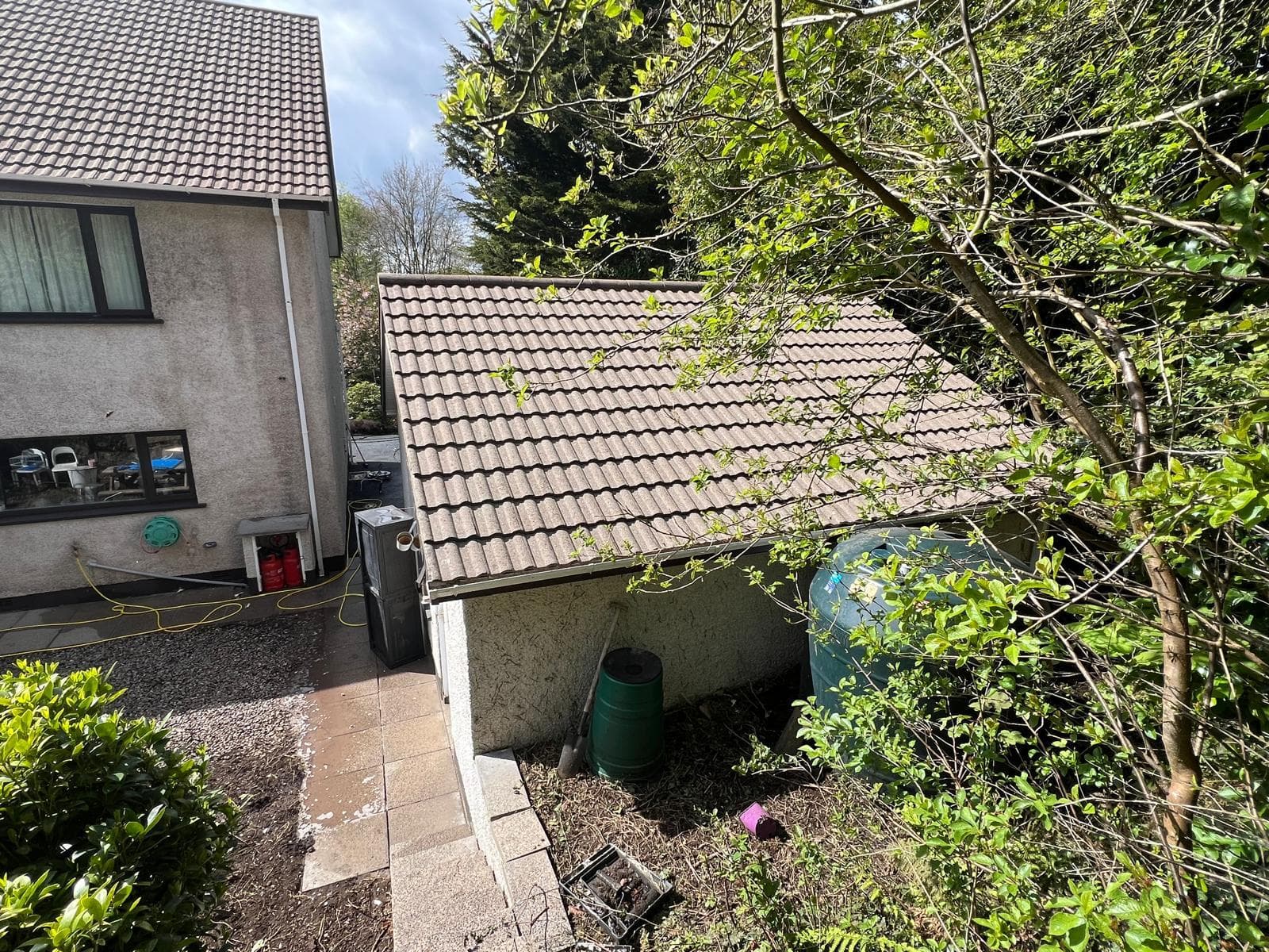 Moss removal from roof