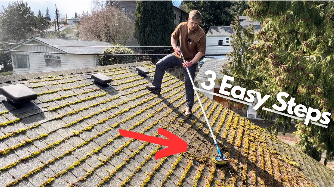 How Moss Damages Your Roof & How to Prevent It in NI