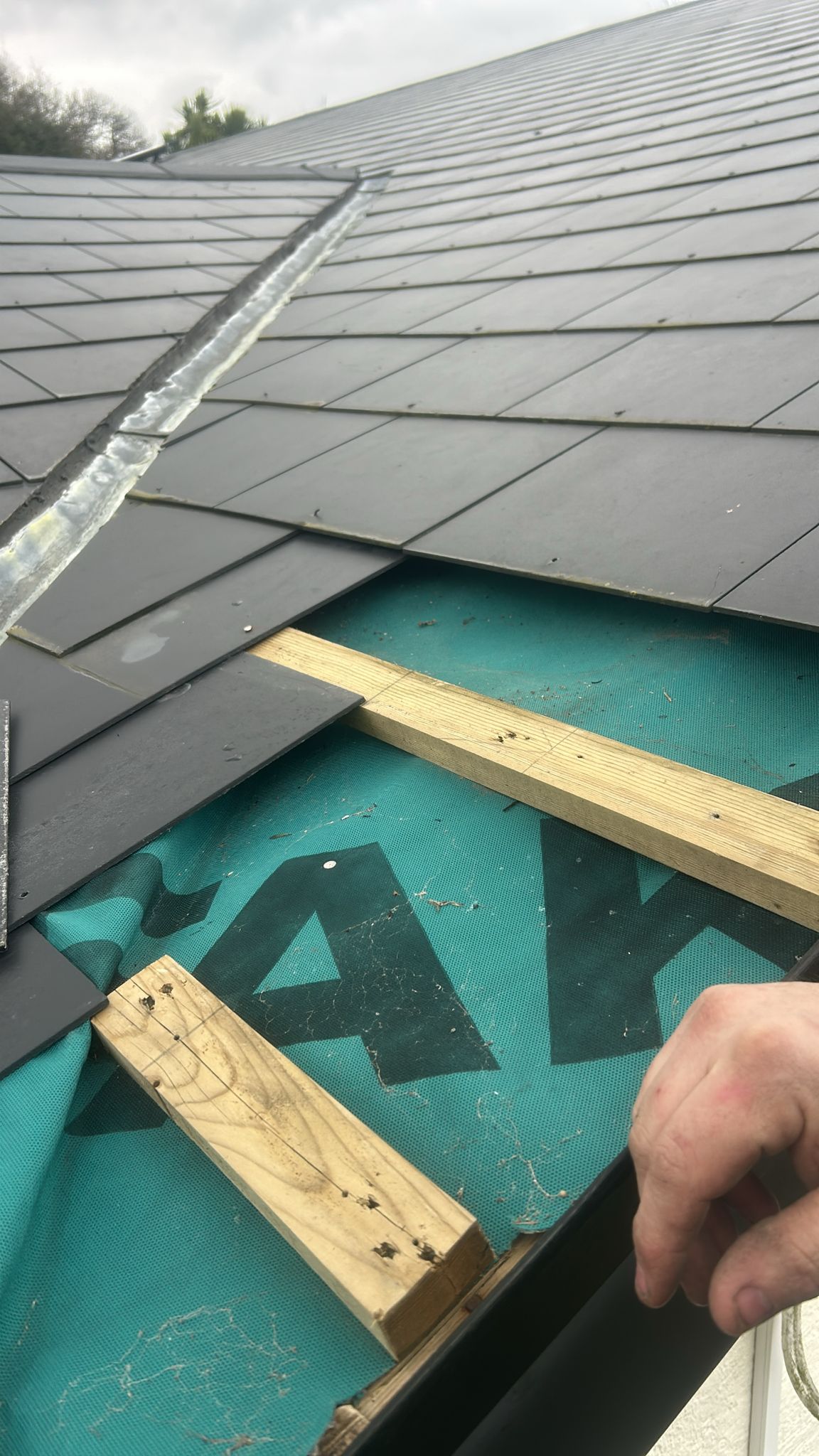 Fencing Installation Belfast work example 6