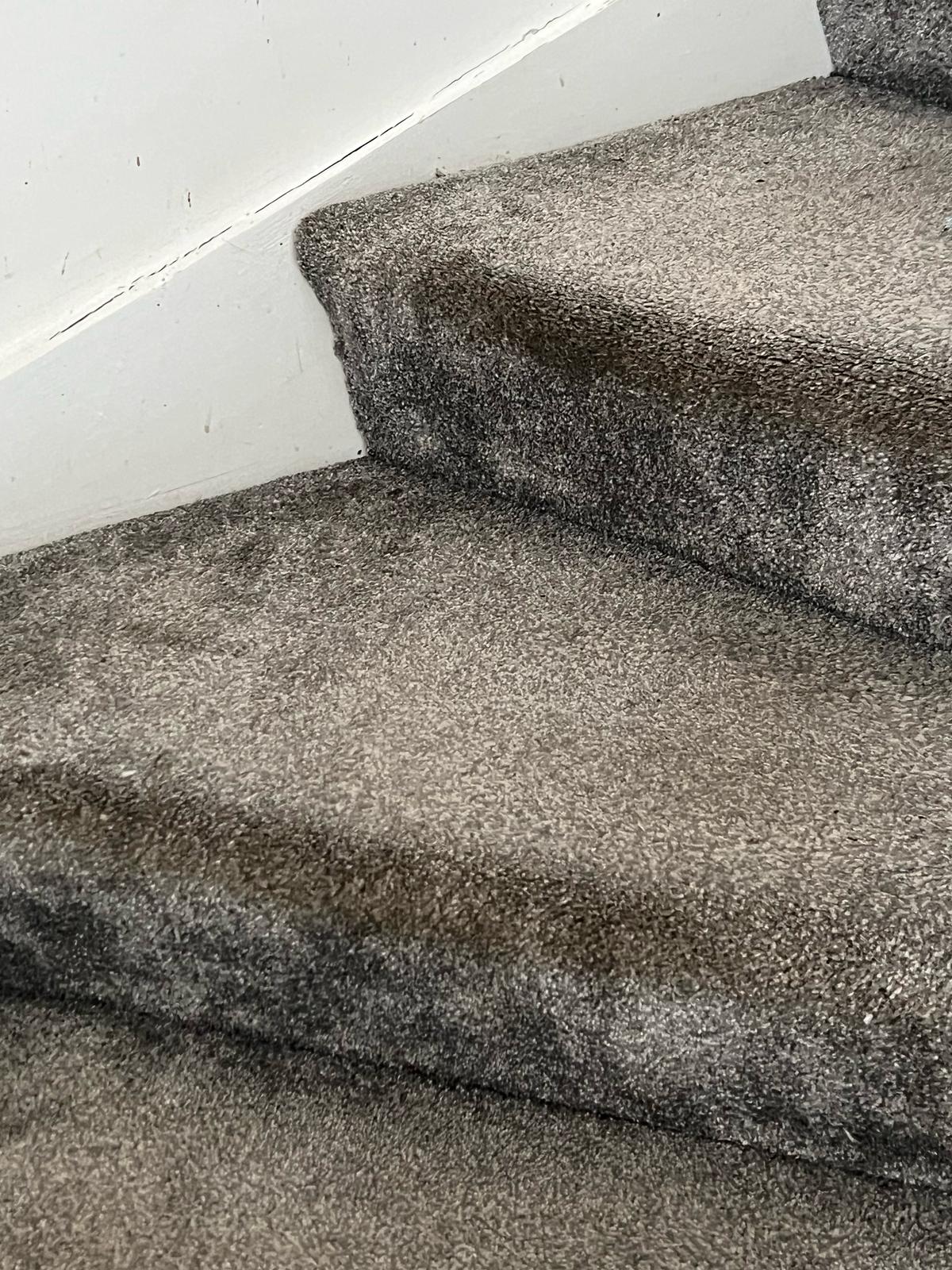 Carpet Cleaning Belfast work example 7