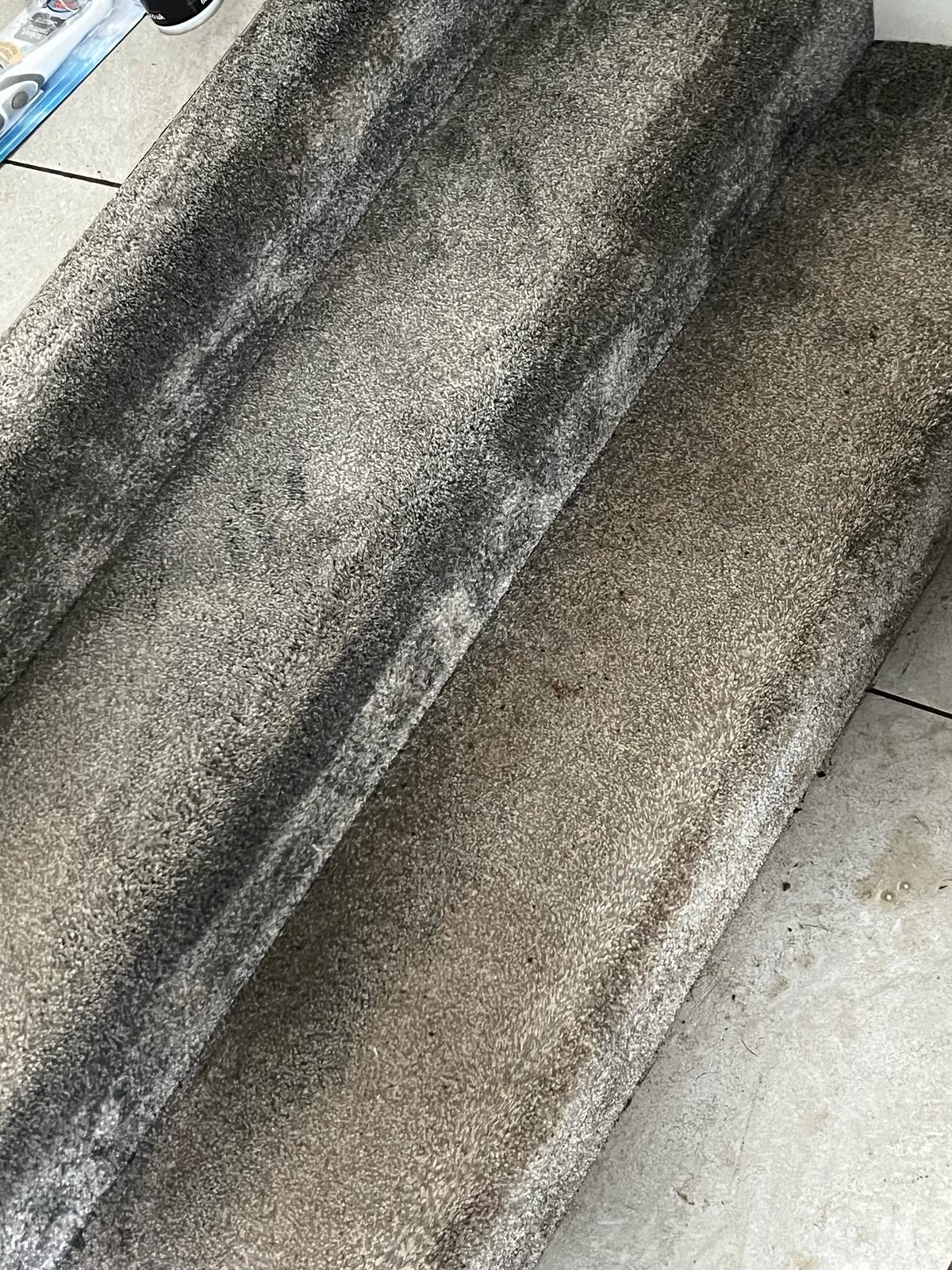 Carpet Cleaning Belfast work example 8