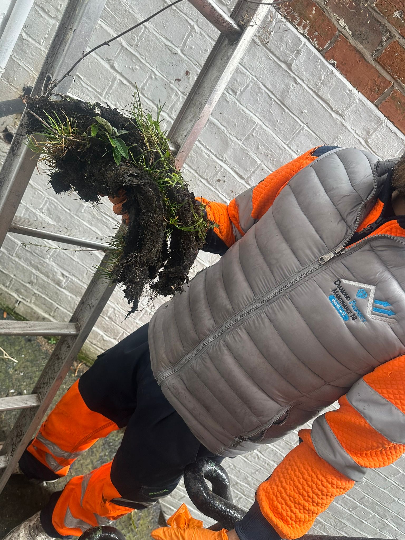 Fascia & Soffit Installation Belfast work example 3